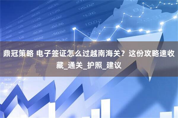 鼎冠策略 电子签证怎么过越南海关？这份攻略速收藏_通关_护照_建议