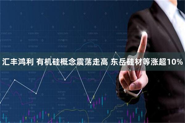 汇丰鸿利 有机硅概念震荡走高 东岳硅材等涨超10%