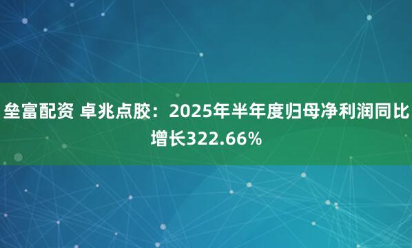 垒富配资 卓兆点胶：2025年半年度归母净利润同比增长322.66%