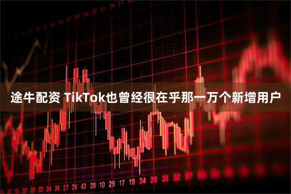 途牛配资 TikTok也曾经很在乎那一万个新增用户