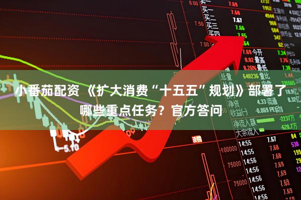 小番茄配资 《扩大消费“十五五”规划》部署了哪些重点任务？官方答问
